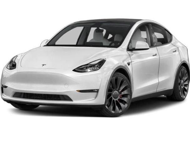 TESLA MODEL Y 2021 5YJYGDEE5MF254014 image